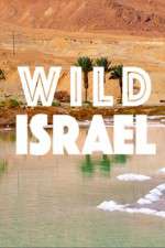 Watch Wild Israel 9movies