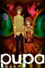 Watch Pupa 9movies