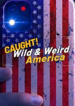 Watch Wild & Weird America 9movies