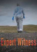 Watch Expert Witness 9movies