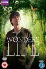 Watch Wonders Of Life 9movies