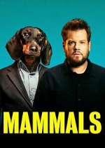 Watch Mammals 9movies