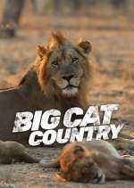 Watch Big Cat Country 9movies