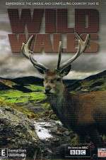 Watch Wild Wales 9movies