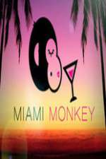 Watch Miami Monkey 9movies