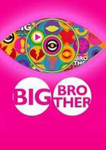 Big Brother 9movies