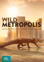 Watch Wild Metropolis 9movies
