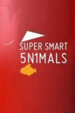 Watch Super Smart Animals 9movies