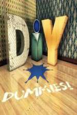 Watch DIY Dummies 9movies