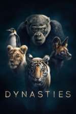 Watch Dynasties 9movies