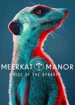 Watch Meerkat Manor: Rise of the Dynasty 9movies