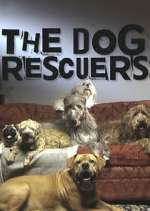 Watch The Dog Rescuers with Alan Davies 9movies