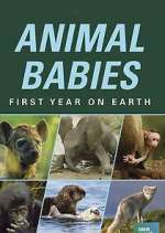 Watch Animal Babies: First Year on Earth 9movies