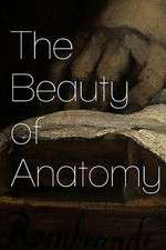 Watch The Beauty of Anatomy 9movies