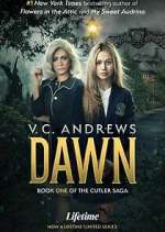 Watch V.C. Andrews' Dawn 9movies