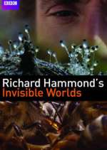 Watch Richard Hammond's Invisible Worlds 9movies