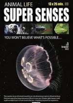 Watch Super Senses 9movies