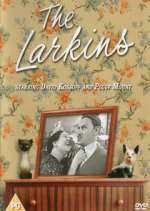 Watch The Larkins 9movies