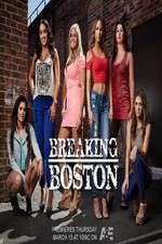Watch Breaking Boston 9movies