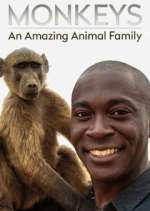 Watch Monkeys: An Amazing Animal Family 9movies