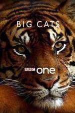 Watch Big Cats 9movies