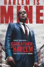 Watch Godfather of Harlem 9movies
