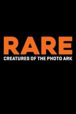 Watch Rare: Creatures of the Photo Ark 9movies
