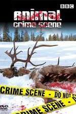 Watch Animal Crime Scene 9movies