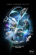 Watch Super/Natural 9movies