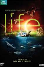 Watch Life 9movies