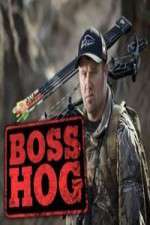 Watch Boss Hog 9movies