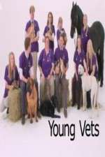Watch Young Vets 9movies