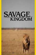 Watch Savage Kingdom 9movies