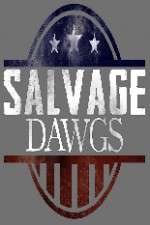 Watch Salvage Dawgs 9movies