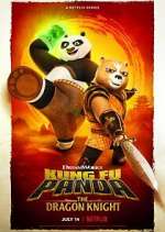 Watch Kung Fu Panda: The Dragon Knight 9movies