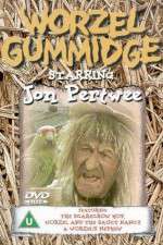 Watch Worzel Gummidge 9movies