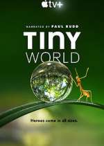 Watch Tiny World 9movies