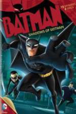 Watch Beware the Batman: Shadows of Gotham 9movies