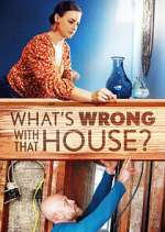 Watch What's Wrong With That House? 9movies