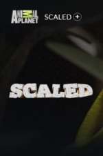 Watch Scaled 9movies