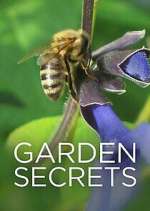 Watch Garden Secrets 9movies