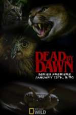Watch Dead by Dawn 9movies
