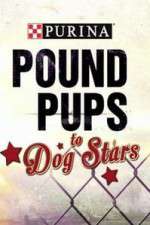 Watch Purina Pound Pups To Dog Stars 9movies