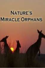 Watch Nature's Miracle Orphans 9movies