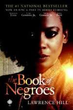 Watch The Book of Negroes 9movies