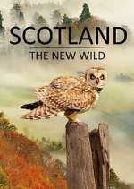 Watch Scotland - The New Wild 9movies