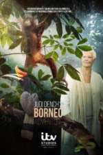 Watch Judi Dench\'s Wild Borneo Adventure 9movies