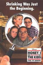 Watch Honey I Shrunk the Kids The TV Show 9movies