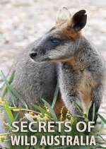 Watch Secrets of Wild Australia 9movies
