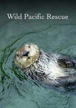 Watch Wild Pacific Rescue 9movies